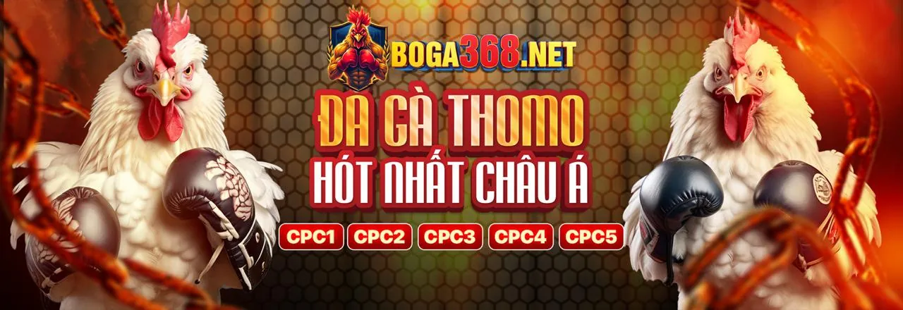 Đá Gà Trực Tuyến Hấp Dẫn tại LV88